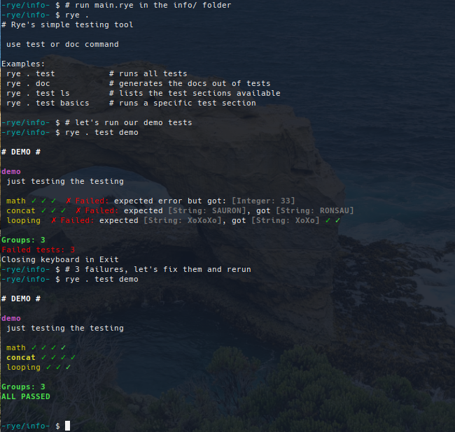 rye tests demo